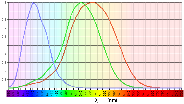 https://upload.wikimedia.org/wikipedia/commons/d/d1/Cone_spectral_sensitivities.png